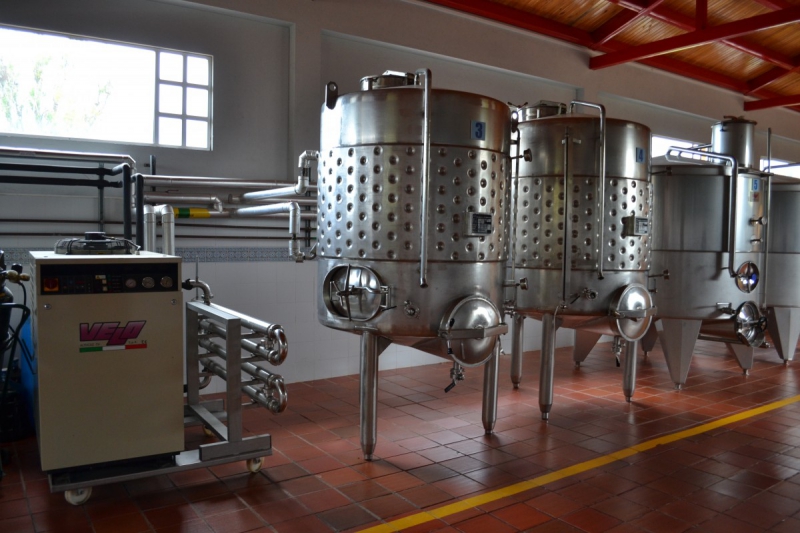 cave-CARROS-min_wine_production_cantine_winery_drink_alcohol_vine_beverage-902036